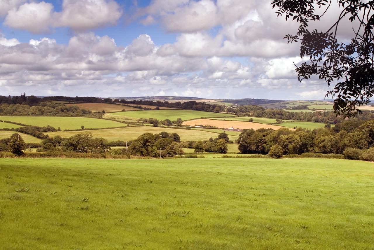 Huntsham Three Gates Farm Holiday Cottages מראה חיצוני תמונה