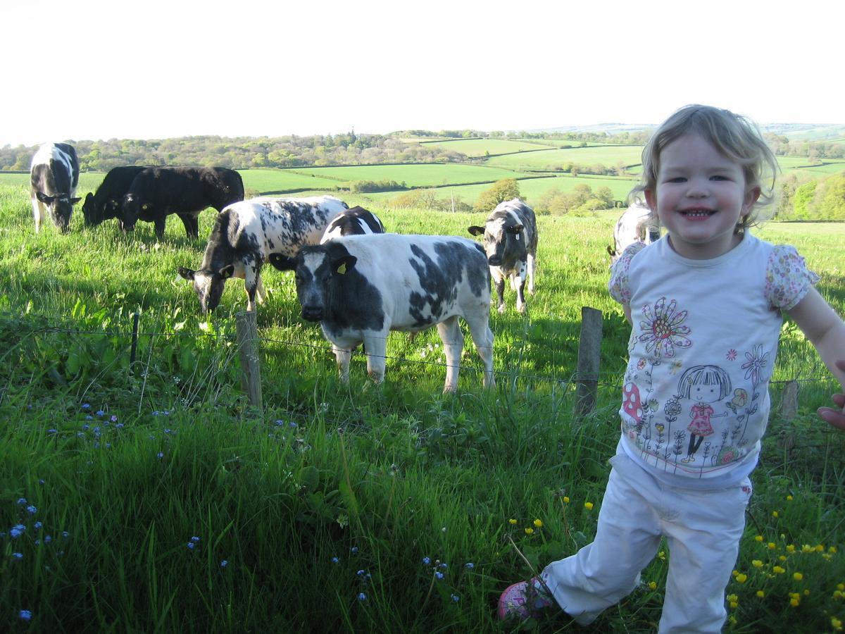 Huntsham Three Gates Farm Holiday Cottages מראה חיצוני תמונה